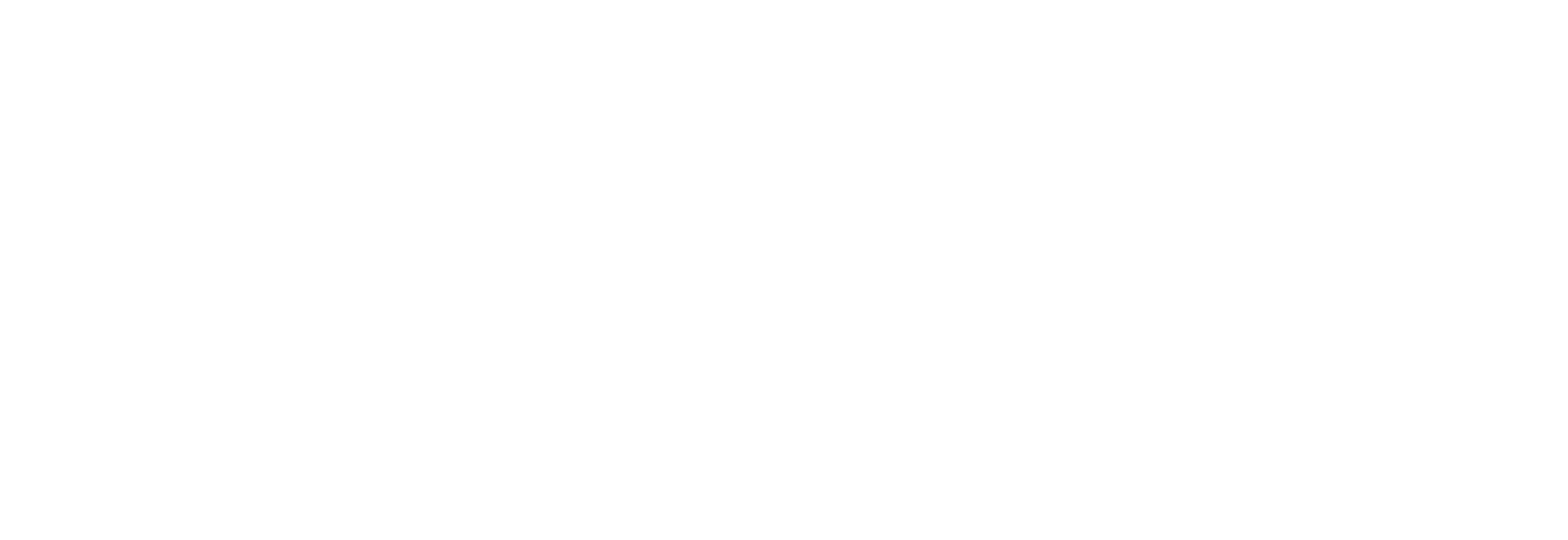 CleanVision